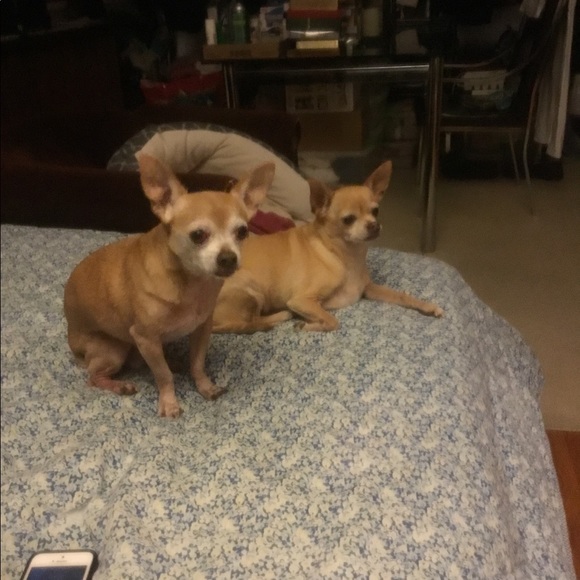 Meet your Posher, Robert - Picture 6 of 8